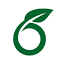 Overleaf LaTeX 编辑器