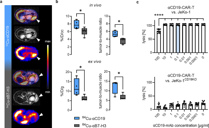 图1 小鼠模型中⁶⁴Cu-αCD19的特异性验证