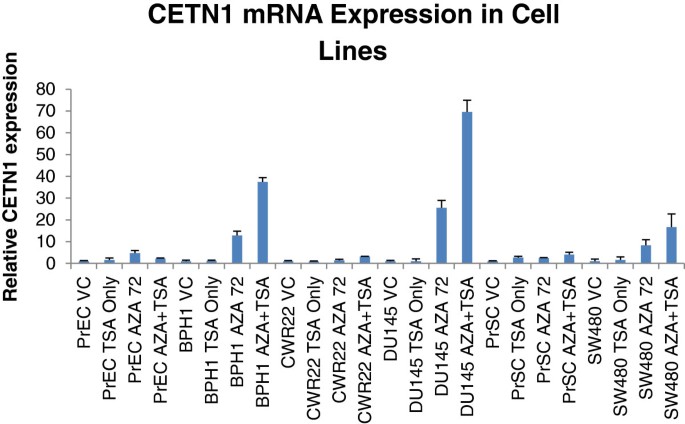 5-AZA/TSA处理后细胞系CETN1表达