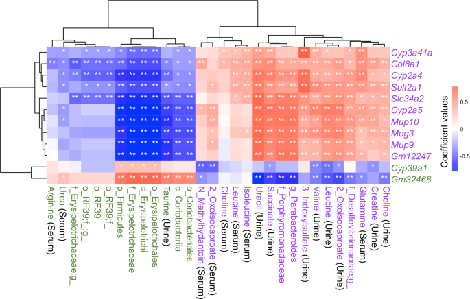 图1：代谢物、肠道菌群与肝转录本的关联分析