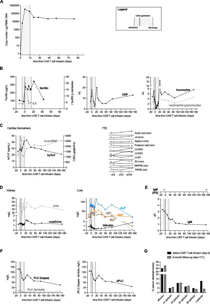 Fig.1A 展示CAR-T细胞拷贝数的动态变化