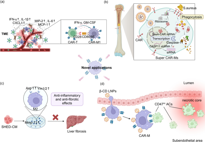 CAR-M的创新应用