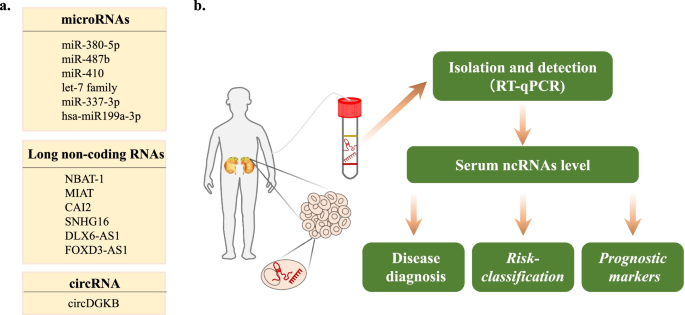 非编码RNA作为神经母细胞瘤生物标志物的应用