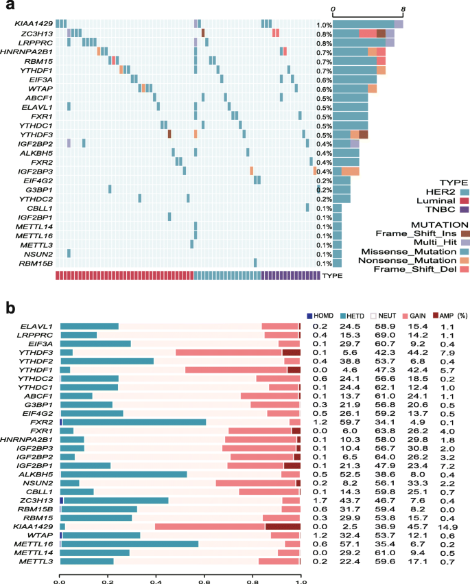 m6A调节因子遗传变异