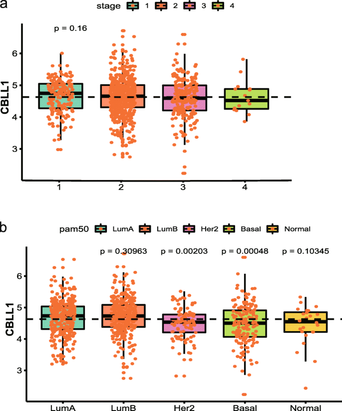 CBLL1与临床特征