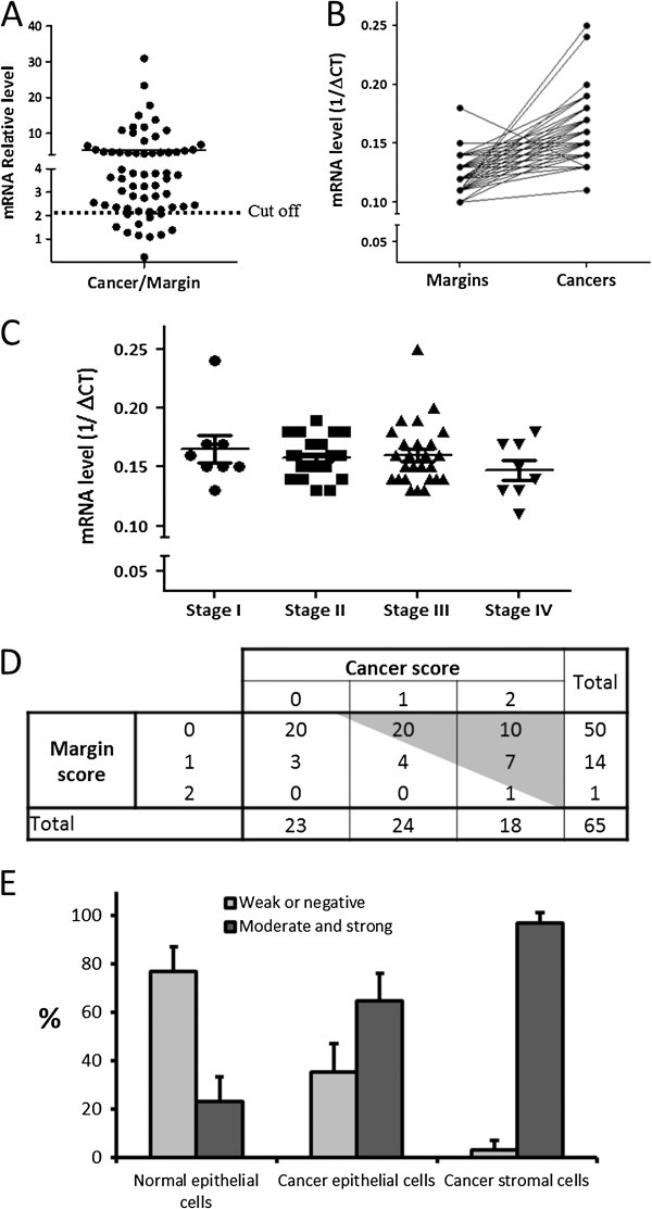 图3 α1 mRNA及蛋白表达统计分析