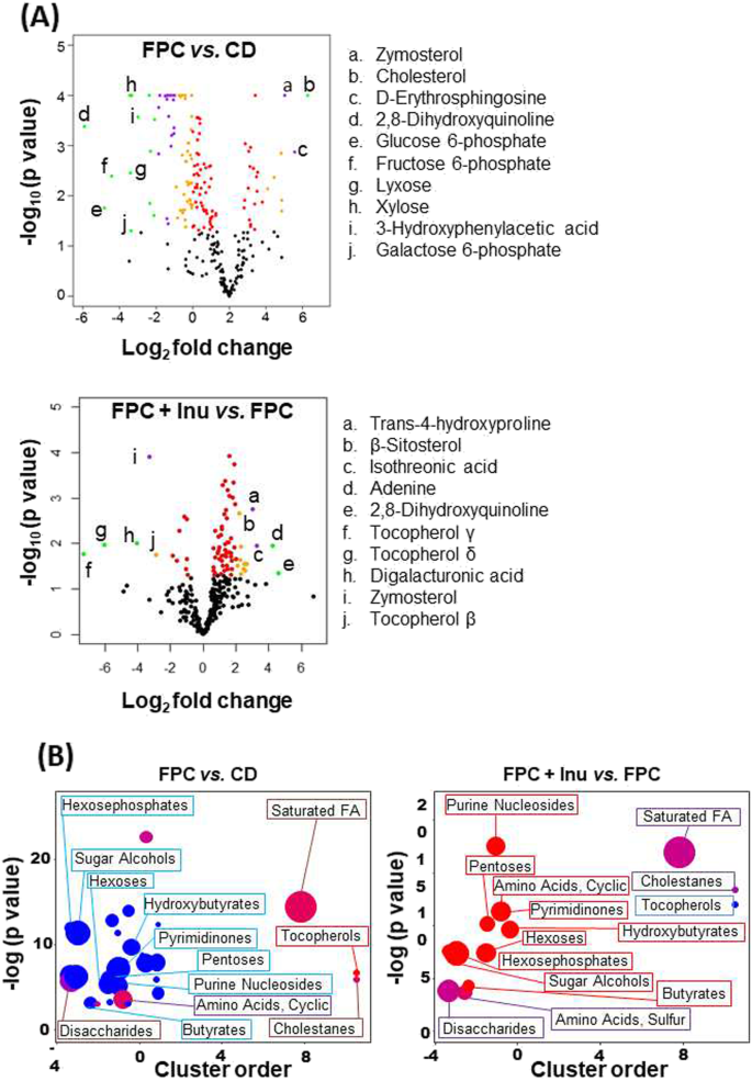 图8 菊粉反转FPC饮食诱导的代谢物变化
