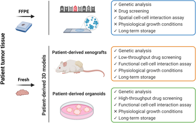 图2：不同模型的优缺点对比