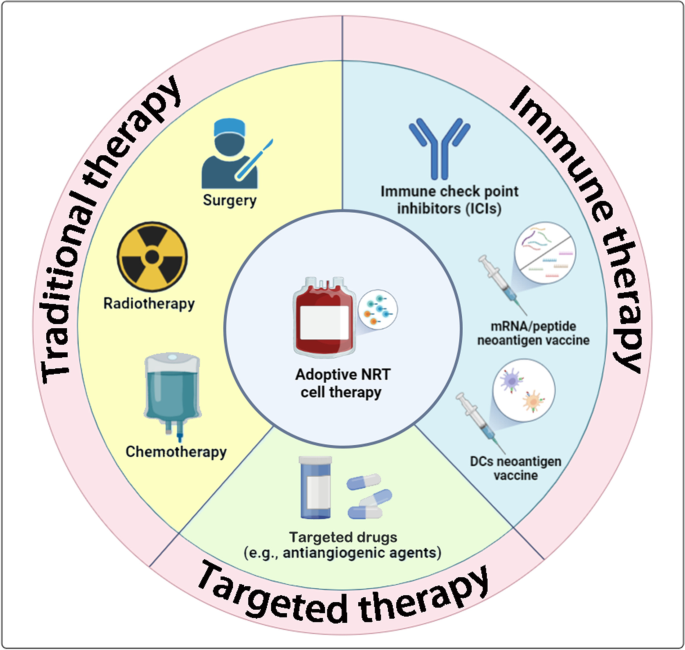 NRT细胞联合治疗策略