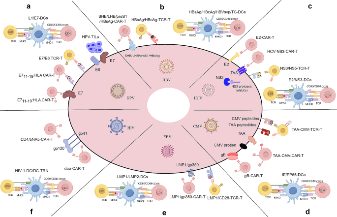 不同病毒的ACTs策略
