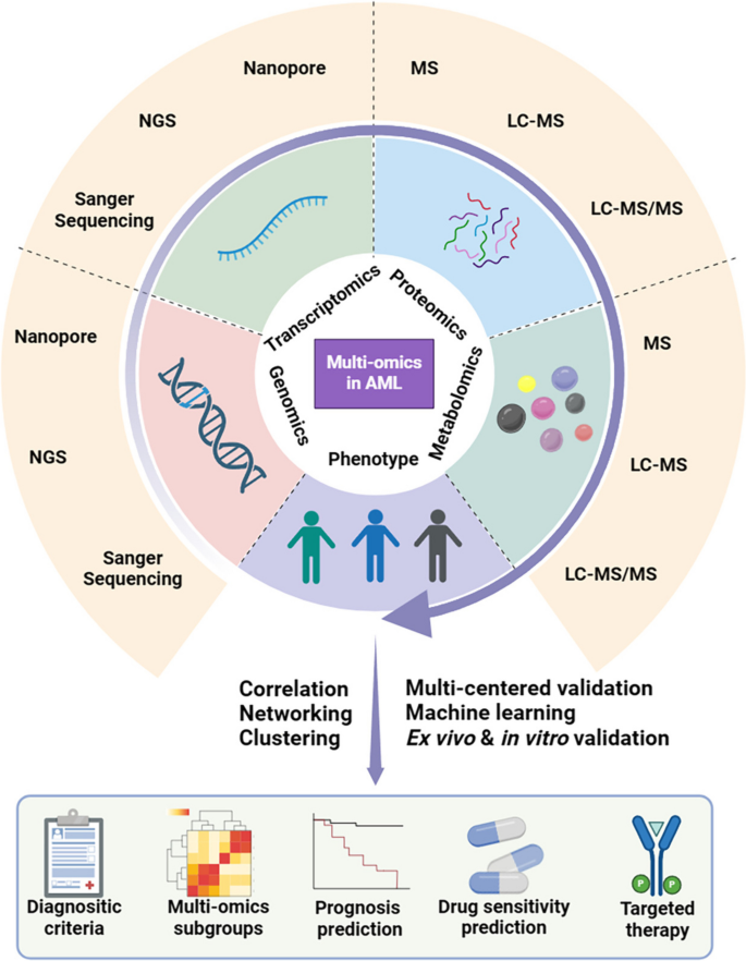 多组学在AML中的应用框架