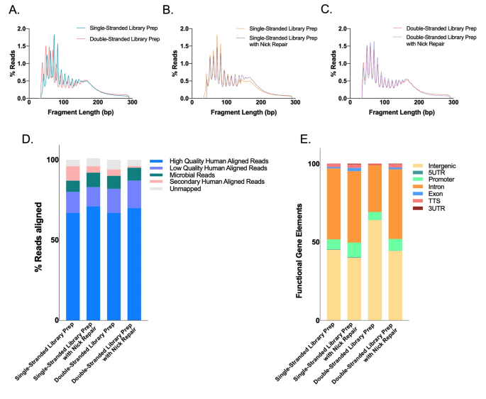 图2 ScfDNA构象分析