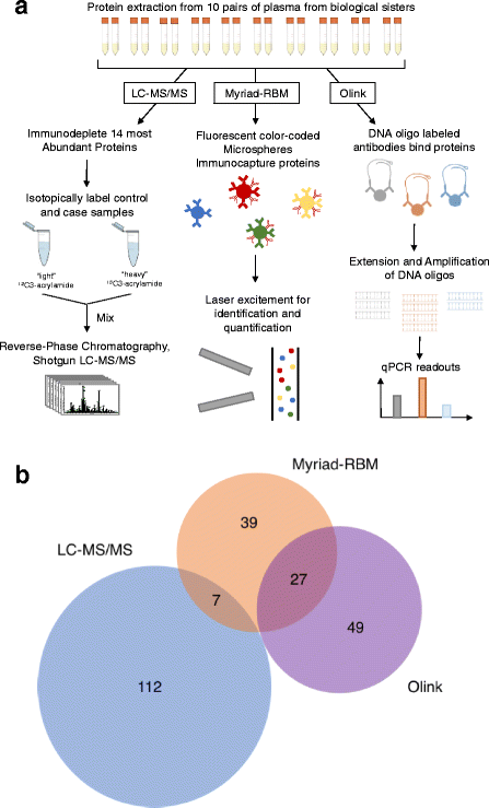图1：研究设计与技术路线