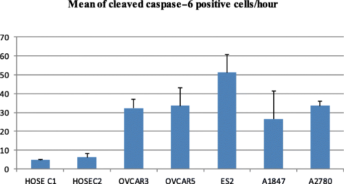 荧光显微镜显示癌细胞活性caspase-6阳性率更高