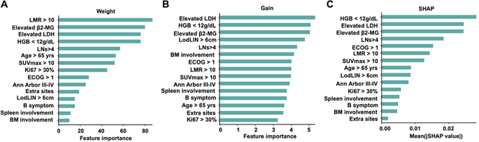图1 XGBoost模型的特征重要性分析（Weight、Gain、SHAP）