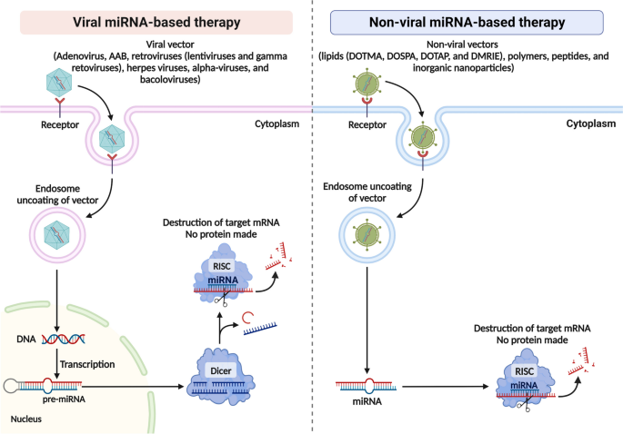 miRNA递送系统类型
