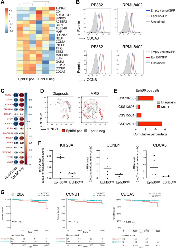 EPHB6+细胞的分子特征及临床预后关联