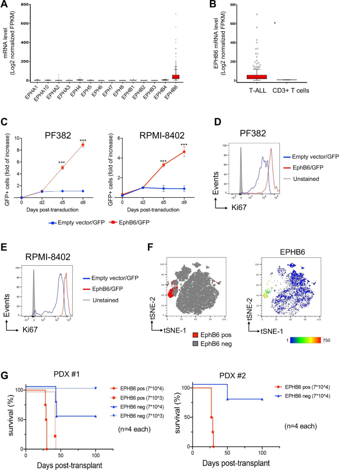 EPHB6在T-ALL中的表达及细胞增殖作用