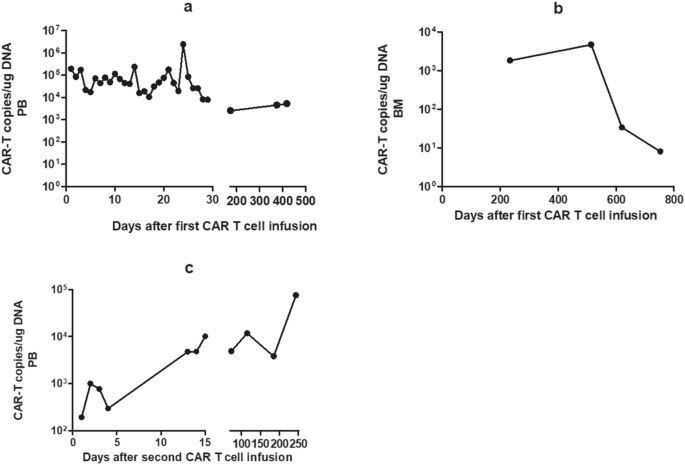 CAR-T细胞拷贝数变化