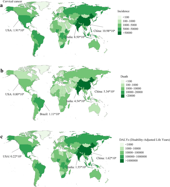 2019年204个国家/地区宫颈癌发病率、死亡率、DALY的分布