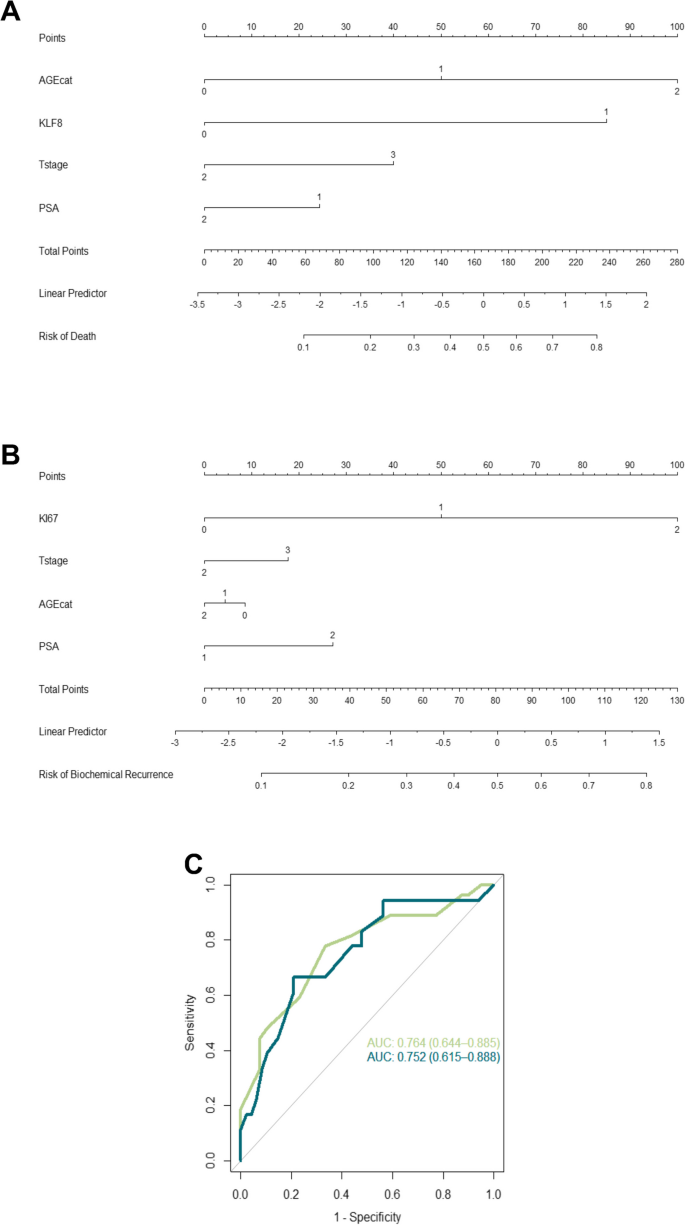 图1：风险计算器的nomogram结构与ROC曲线
