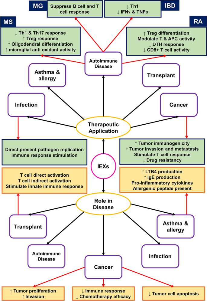 IEXs的双刃剑作用及治疗应用