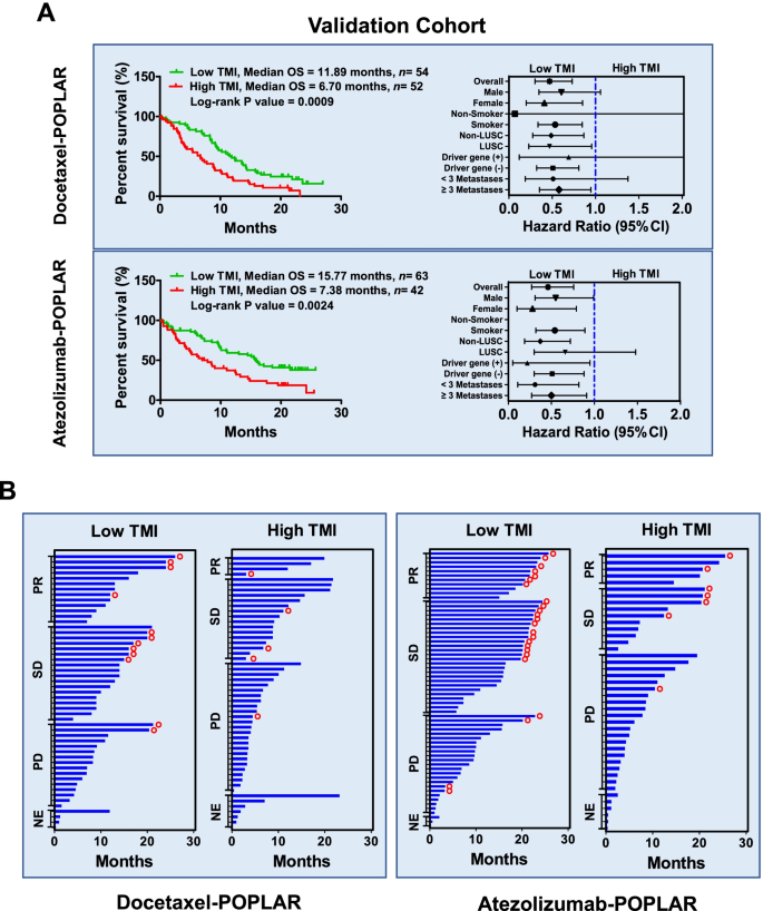 TMI 在 POPLAR 队列中的验证效果