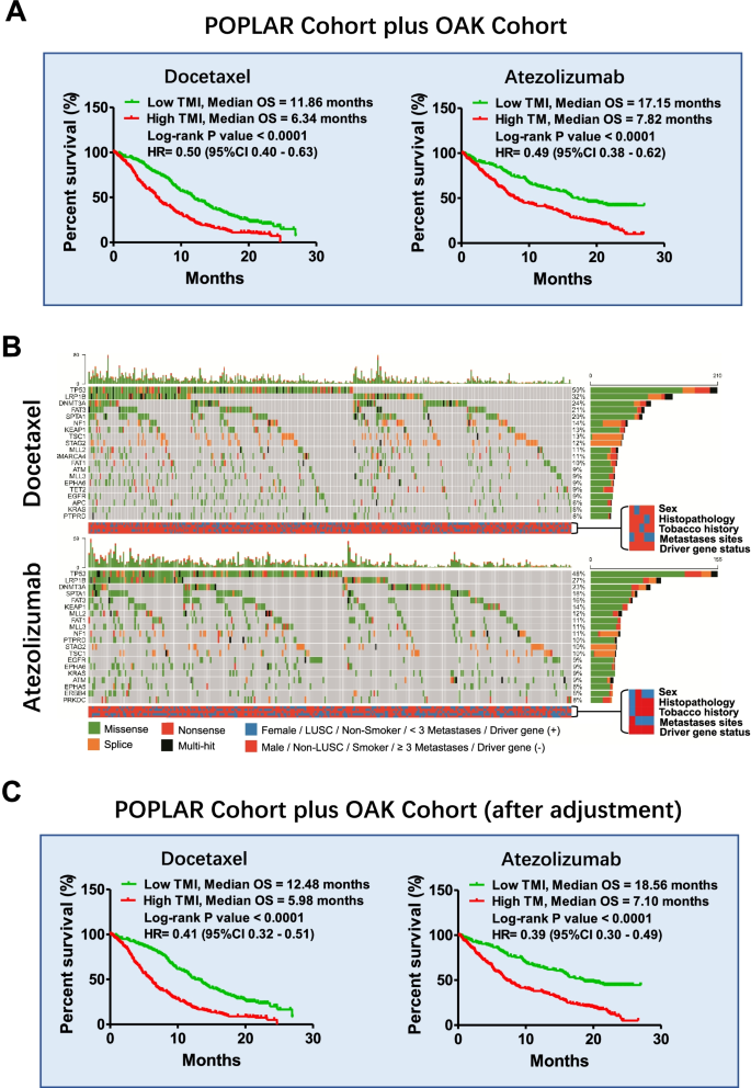 TMI 在联合队列中的分层效果