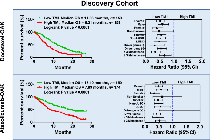 TMI 在 OAK 队列中的分层效果
