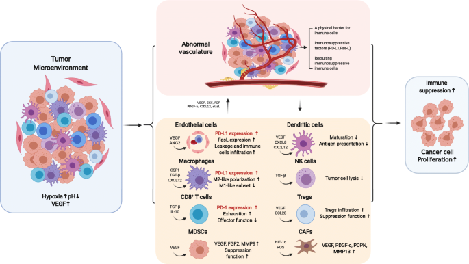 图1 血管异常诱导乳腺癌TME免疫抑制的机制