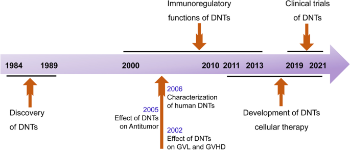 DNTs功能发展时间线
