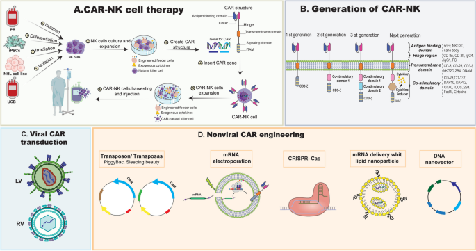 CAR-NK的结构和制备