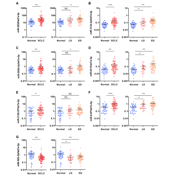图3 大样本qRT-PCR验证差异miRNA结果