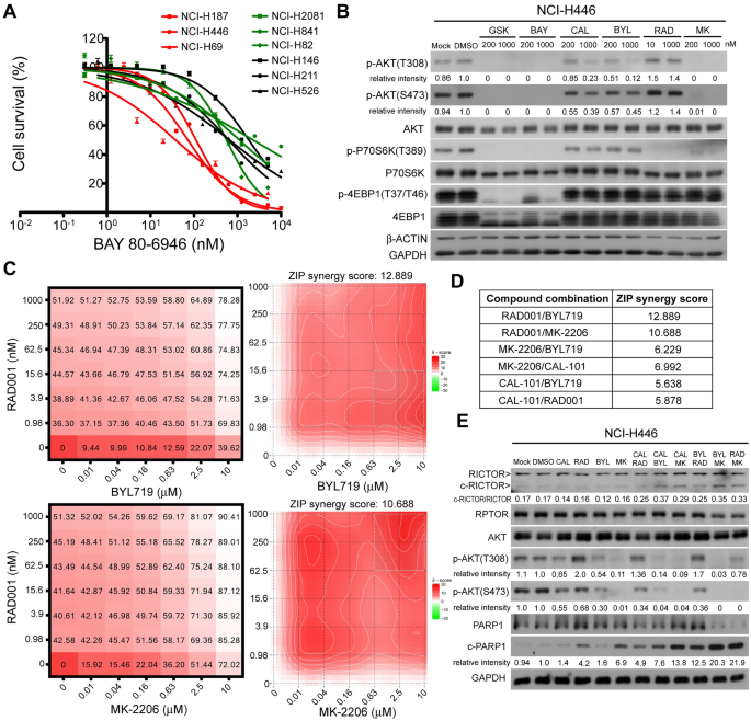 图2：BYL719与RAD001的协同效应
