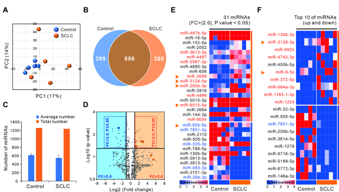 图2 外泌体miRNA表达谱分析结果