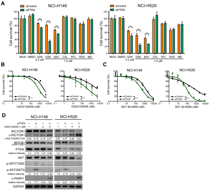 图4：PTEN敲低增强低p-AKT细胞对GSK2126458的敏感性