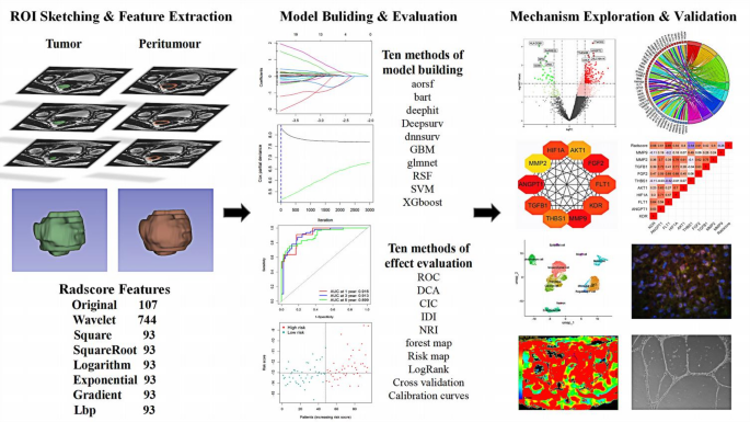 影像组学特征提取流程