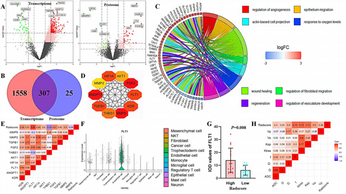 机制探索流程图