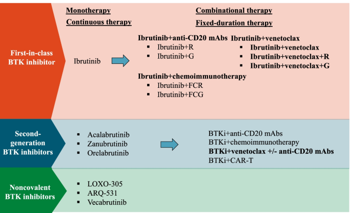 BTK抑制剂的发展与联合治疗策略