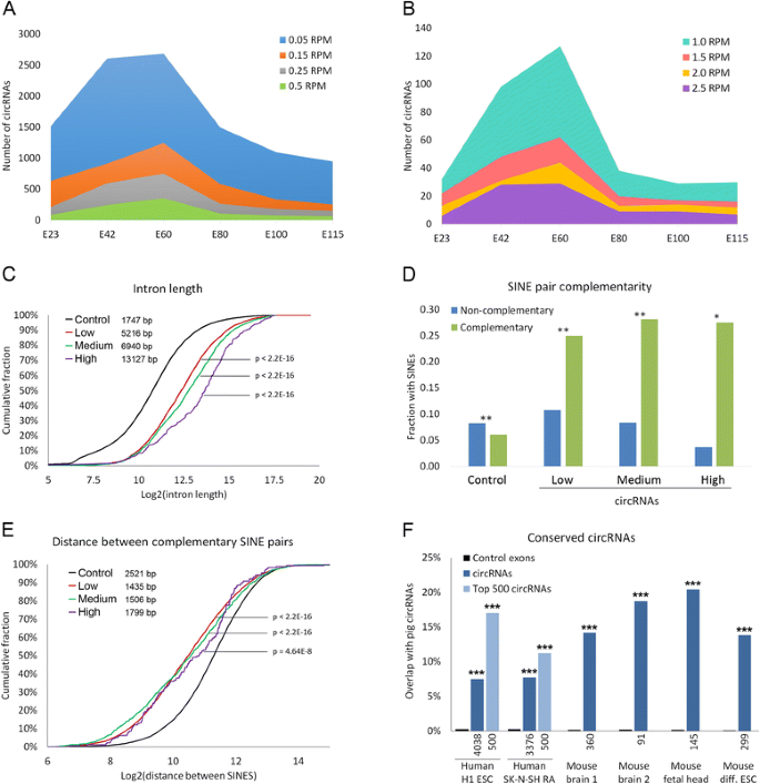图1 皮层环状RNA特征