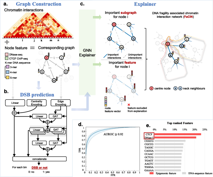 Fig.1 框架 overview