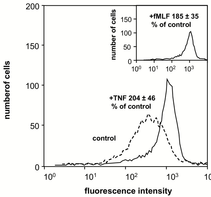 TNF-α诱导CR3上调