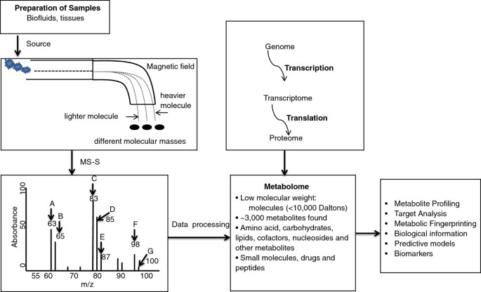 代谢组学技术 workflow