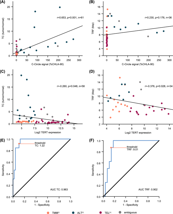 图3 端粒参数与ALT指标的相关性