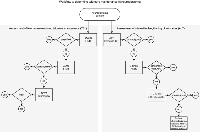 图6 TMM评估workflow