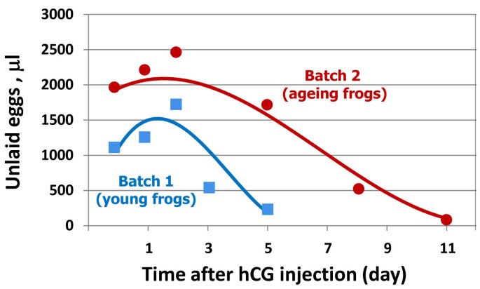 年龄对未排出卵清除的影响