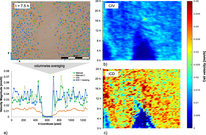 细胞速度分析对比