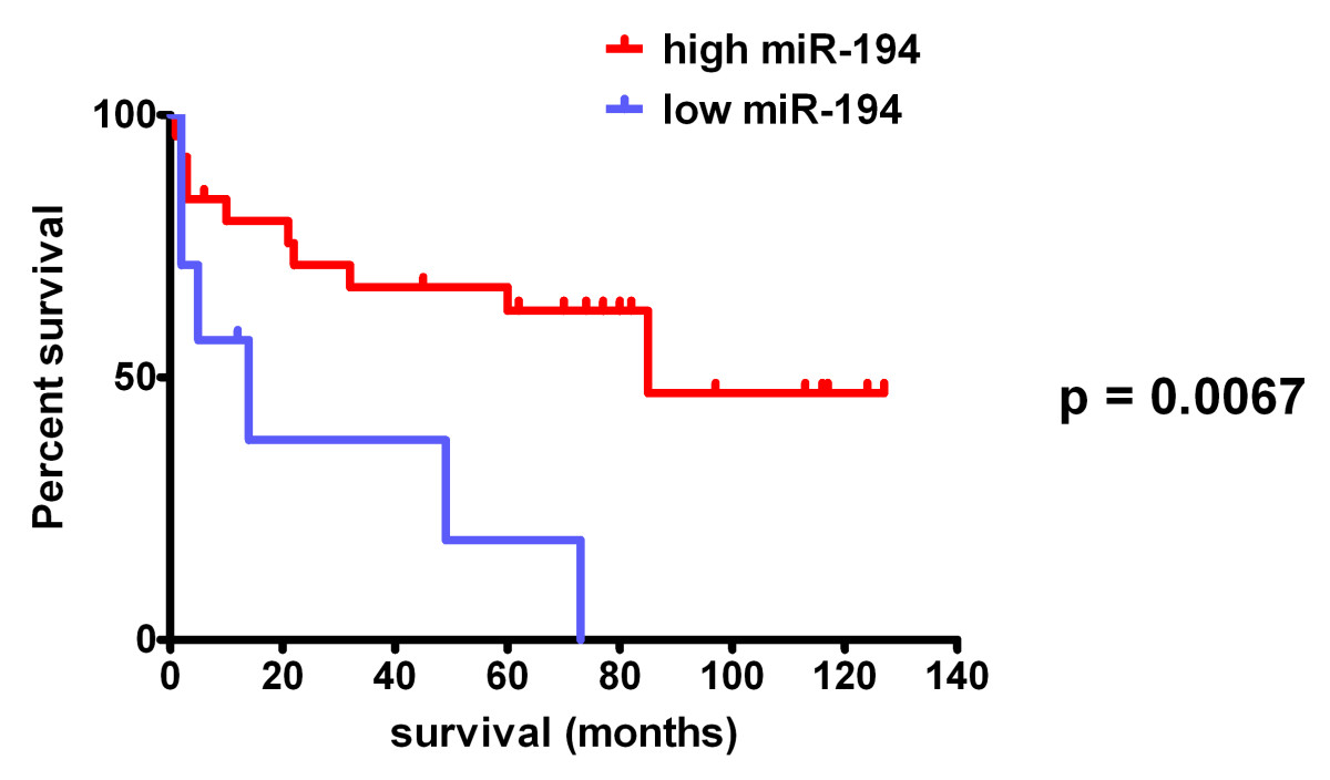 miR-194表达与子宫内膜癌患者生存的Kaplan-Meier分析