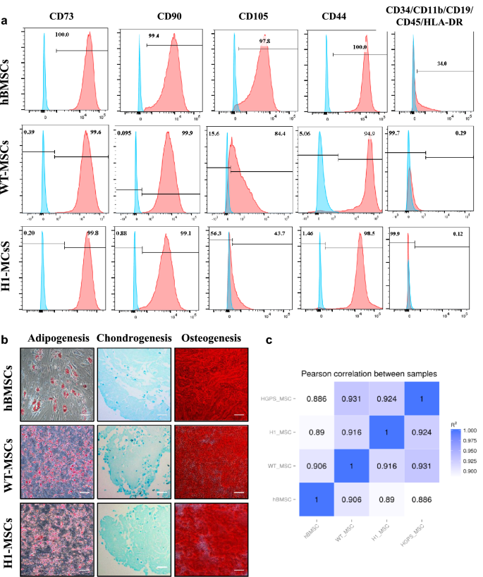 图3：MSCs特性分析与骨髓MSCs比较