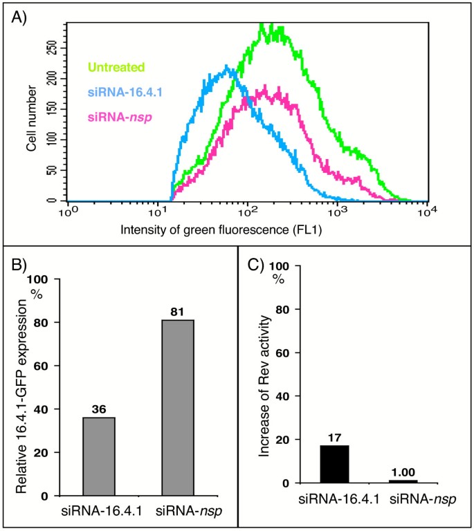 图9 RNAi介导的内源性16.4.1功能验证